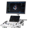 УЗД апарати GE Healthcare Vivid T8 УЗД апарати GE Healthcare Vivid T8, фото 1